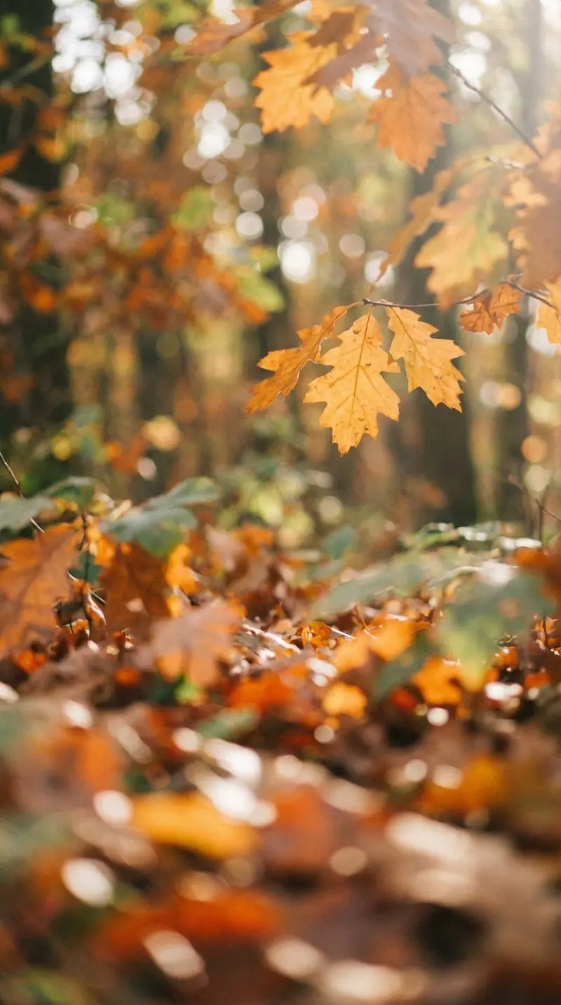 Breathing leaves